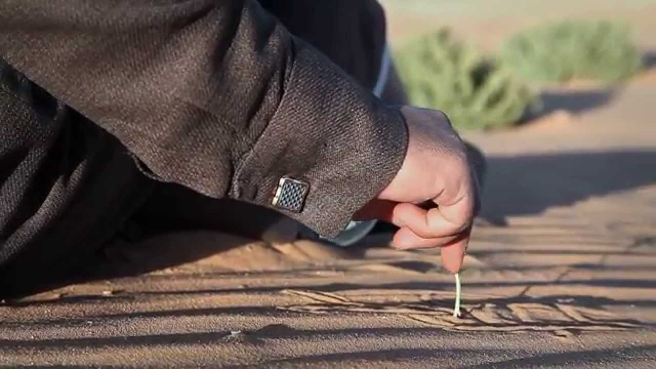 فقر النبي.. خصوصية له أو سُنَّة لنا؟